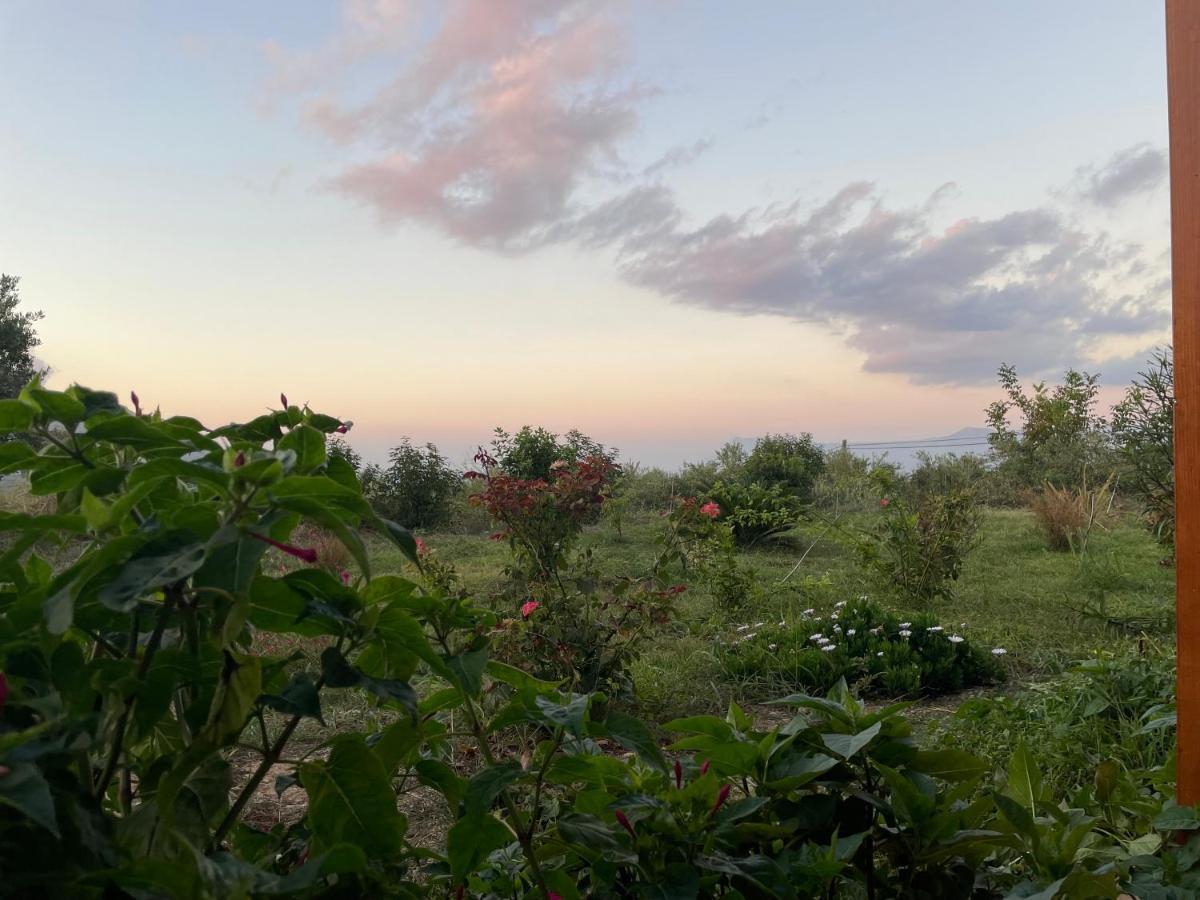 Villa Chrissi'S House With Garden And Sea View Zerviana Kíssamos Esterno foto